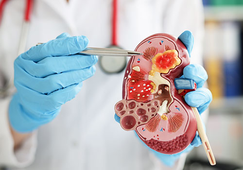 Urological & Gynaecological Malignancies